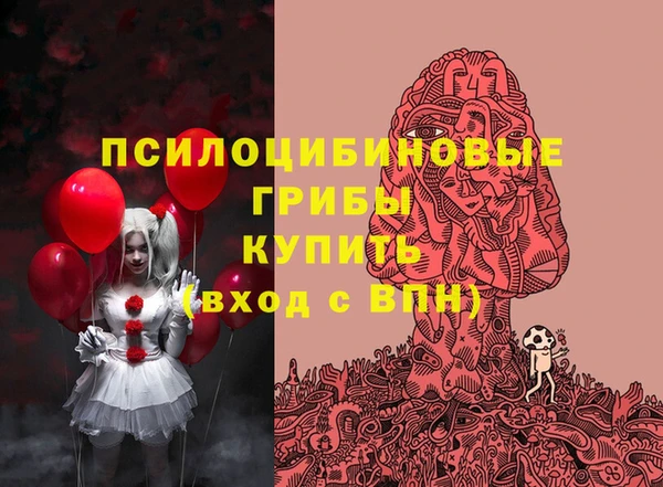 таблы Алзамай