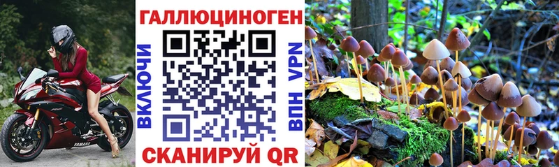 Псилоцибиновые грибы Magic Shrooms  kraken как войти  Андреаполь 